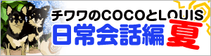 チワワのCOCOとLOUIS 日常会話編【夏】　LINEアニメーションスタンプ販売開始！
